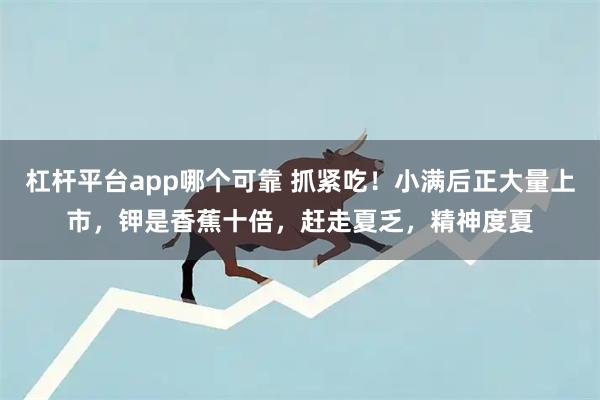 杠杆平台app哪个可靠 抓紧吃！小满后正大量上市，钾是香蕉十倍，赶走夏乏，精神度夏